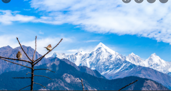 बारिश के कारण मुनस्यारी पर्यटक व्यवसाय ने झेला नुकसान