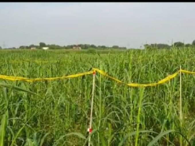 Uttarakhand – यहां गेहूं के खेत पर पड़ा मिला नवजात का शव