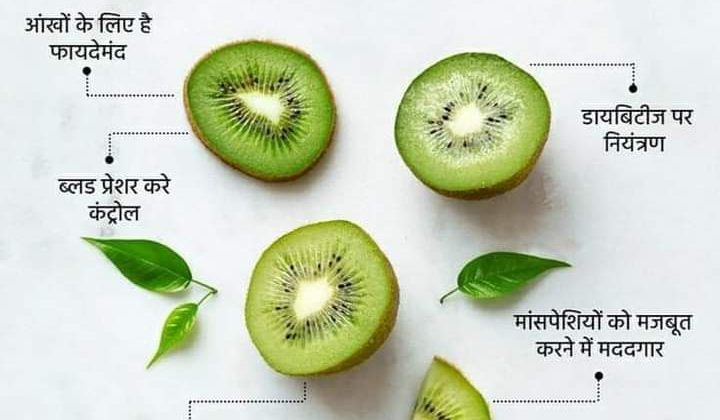 Uttarakhand -: कीवी जोन बनेगा नवोदय परिसर, पर्यावरण संरक्षण के साथ होगा कीवी फल का उत्पादन