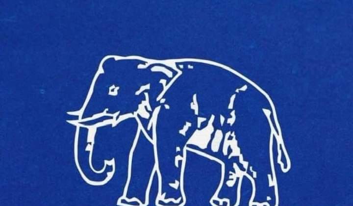 Uttarakhand- राज्य की इन 2 सीटों पर बसपा ने भी मनवाया अपना लोहा, पढ़ें पूरी खबर