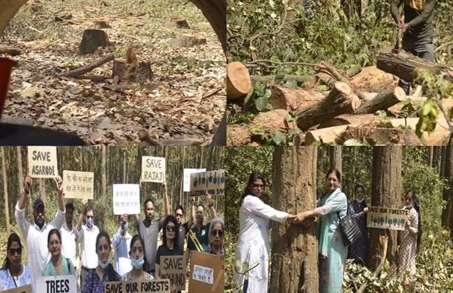 देहरादून:- जिले में एक बार फिर शुरू हुआ चिपको आंदोलन……. जानें पूरा मामला