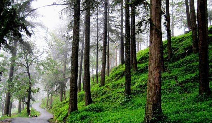 Almora -: नगर की यातायात व्यवस्था में हुआ आंशिक बदलाव