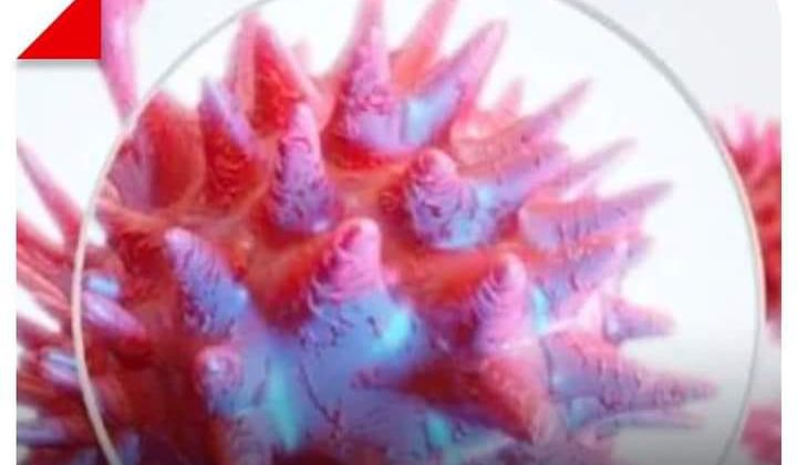 Uttarakhand- राज्य में फिर बढ़े कोरोना के मामले……. जानिए आपके क्षेत्र में कितने