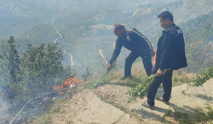 अल्मोड़ा :- ब्राइट एंड कॉर्नर के पास लगी आग, फायर यूनिट के अथक प्रयास से स्थिति पर नियंत्रण