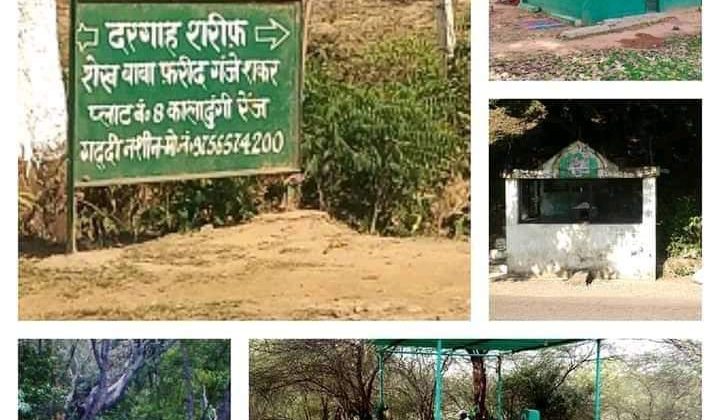 विचारणीय:- उत्तराखंड के जंगलों में फ़ैल रहा मजारों का जाल, पढ़ें पूरी खबर