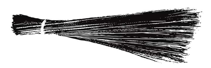 Uttarakhand-कार्यकारिणी भंग करने के बाद राज्य में आम आदमी पार्टी ने की नए प्रदेश अध्यक्ष की घोषणा