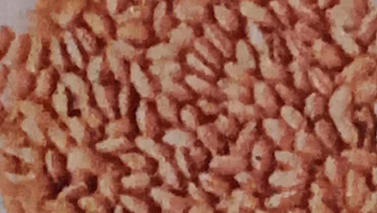 Almora -: संरक्षित किया गया मुनस्यारी में पैदा होने वाला बर्तिया धान, अब नहीं होगा व्यवसायिक उपयोग