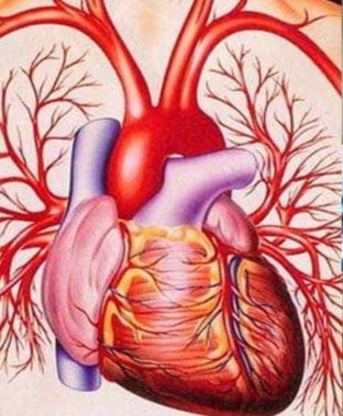 सावधान -: इन लोगों को हृदय रोग का जोखिम ज्यादा