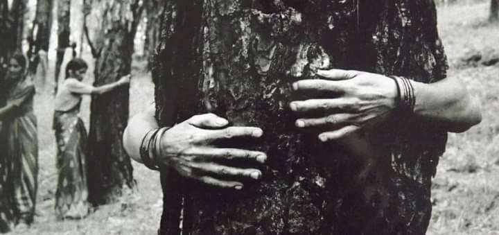 Uttarakhand- चिपको आंदोलन से सबके दिलों में छाने वाली गौरा देवी को उत्तराखंड रत्न के 5 साल बाद मिली सम्मान राशि