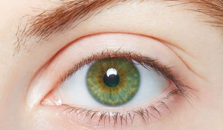 बरसात के मौसम में अधिक अधिक होता है आंखों में संक्रमण….. इस प्रकार रखें ध्यान