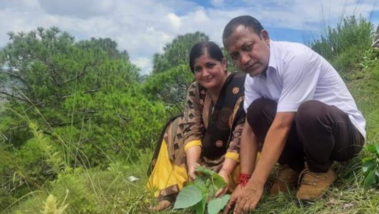 अल्मोडा :- विश्व प्रकृति संरक्षण दिवस पर राष्ट्रीय जन सेवा समिति ने किया वृक्षारोपण