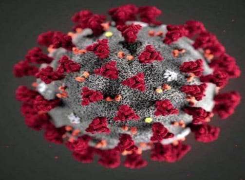 चिंताजनक:- कोविड, मंकीपॉक्स के बाद अब दुनिया में नए वायरस ने दी दस्तक…. जानिए किस हद तक है खतरनाक