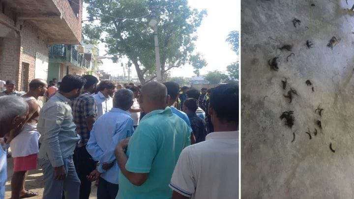 Uttarakhand- शिक्षक ने काटे बच्चों के बाल….. परिजनों के कहने पर शिक्षक हिरासत में