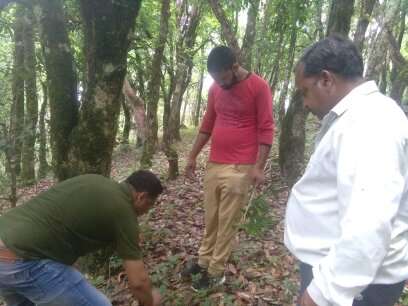 अल्मोड़ा:- जगमोहन दीनदयाल ग्रामीण स्वरोजगार संस्था द्वारा किसानों के लगाए गए फलों एवं बूटियों का किया गया निरीक्षण