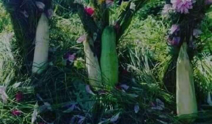 खतड़ुआ :- पशुधन को समर्पित कुमाऊं का महत्वपूर्ण त्योहार, जाने क्या है इसका मुख्य कारण?