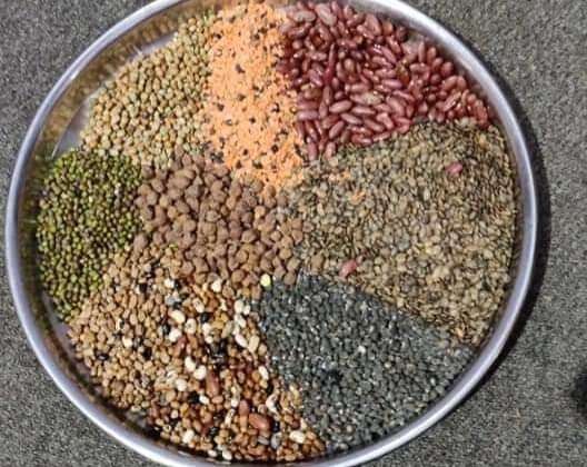 Uttrakhand- सर्द मौसम के बीच बढ़ी पहाड़ी दालों की डिमांड…….. जानिए कीमतें