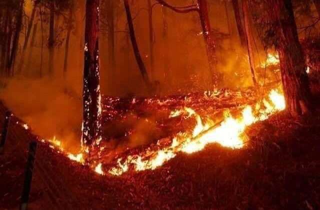 Uttarakhand:- भीषण गर्मी से पहले ही धधक रहे जंगल…….. राज्य के इस जंगल से सामने आई आग की घटना