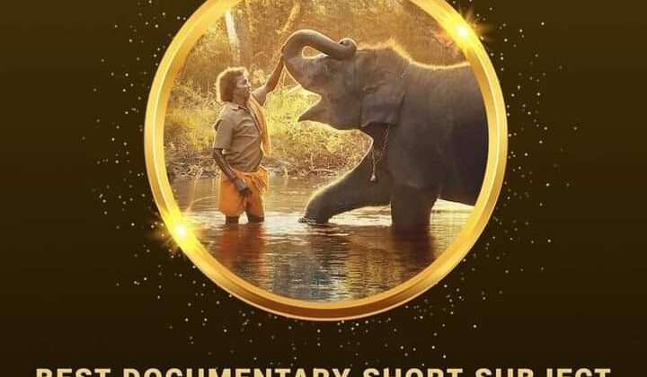 इस दक्षिण भारतीय गाने ने जीता भारतीय प्रोडक्शन के लिए पहला ऑस्कर, पढ़े पूरी खबर