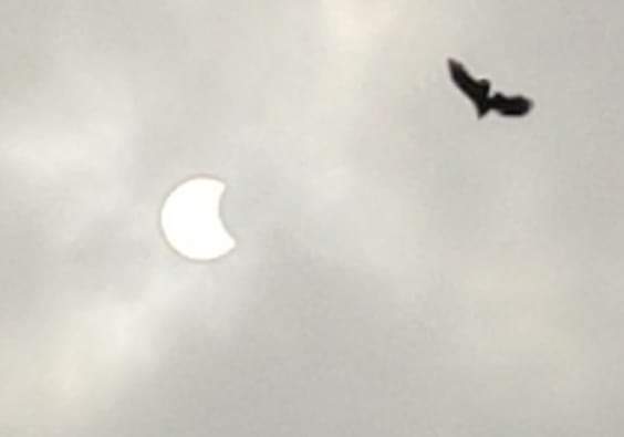 Uttarakhand- इस दिन लगेगा वर्ष का पहला सूर्य ग्रहण…. पढ़ें पूरी खबर