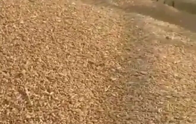 Uttarakhand-मोबाइल नेटवर्क ना होने से फ्री राशन पर गहराया संकट……. पढ़ें पूरी खबर