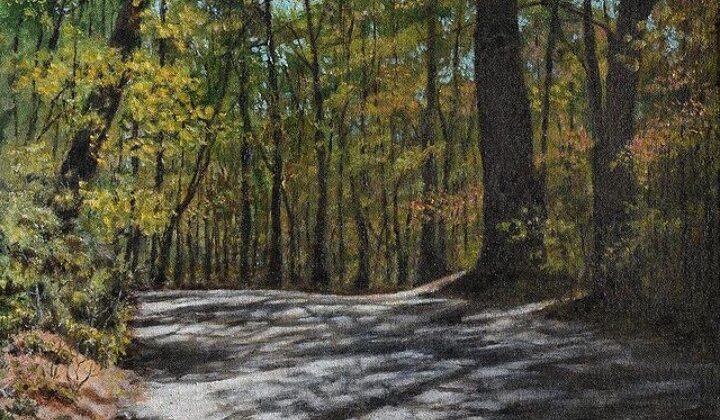 बागेश्वर:- ताकुला- बागेश्वर राष्ट्रीय राजमार्ग पर गिरे दो विशालकाय चीड़ के पेड़……. बाल- बाल बचे वाहन