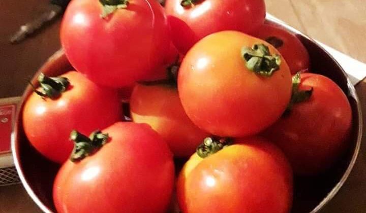 Uttarakhand -: बढ़ रहे सब्जियों के दाम, टमाटर ने बिगाड़ा स्वाद