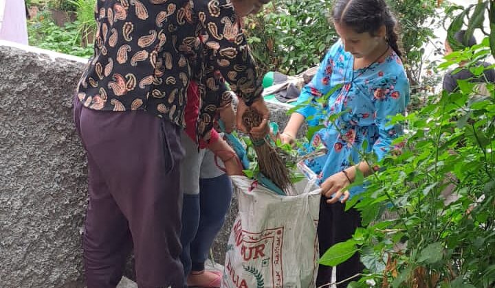 अल्मोड़ा -: कल्पना कृति जन महिला जागृति समिति के तत्वाधान में स्वच्छता अभियान लगातार जारी