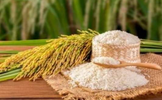 प्रधानमंत्री मोदी ने अमेरिकी राष्ट्रपति को भेंट किए उत्तराखंड के प्रसिद्ध चावल, अब मांग में आई उछाल