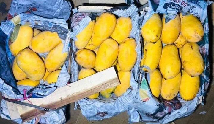 Uttarakhand- बाजारों में पहुंचा फलों का राजा आम….. बारिश के बाद बढ़ी मिठास