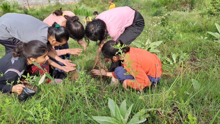 अल्मोड़ा -: उत्तराखंड के लोकपर्व हरेले के शुभ अवसर पर किया गया वृक्षारोपण, प्रकृति को हरा-भरा करने का संदेश