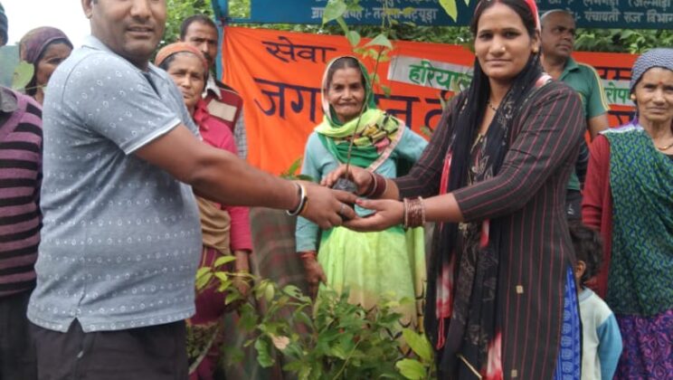 Almora -: वृक्षारोपण कार्यक्रम में 415 कृषकों को वितरित किए गए 12450 पौधे