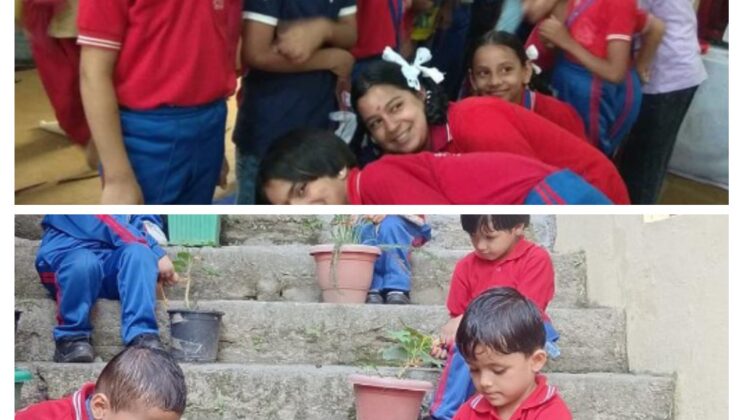 Almora- एक अनोखी पहल के तहत पेड़- पौधों को रक्षा सूत्र बांधकर सरस्वती शिशु मंदिर जीवनधाम के विद्यार्थियों ने मनाया रक्षाबंधन