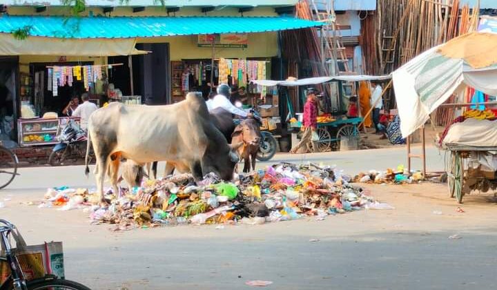 Uttarakhand -: गड्ढा मुक्त एप की तर्ज पर अब बनेगा कूड़ा मुक्त एप, निर्देश जारी