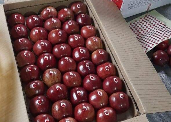 Uttarakhand -: घोषित हुआ सेब और नाशपाती का न्यूनतम समर्थन मूल्य, इतने की बढ़ोतरी