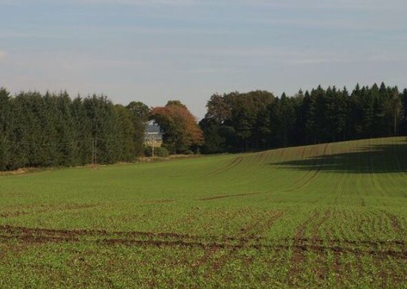 उत्तराखंड:- राज्य में चकबंदी हेतु बनाया जा रहा है मॉडल….. चयनित हो सकते हैं यह दो गांव…. पढ़े पूरी खबर