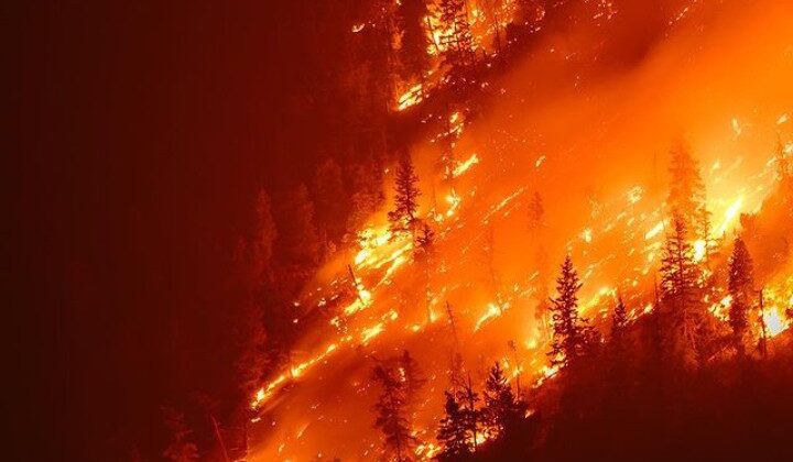 Almora- ठंड में भी जंगलों को जला रही है आग……. एपीएस अपार्टमेंट तक पहुंची लपटे