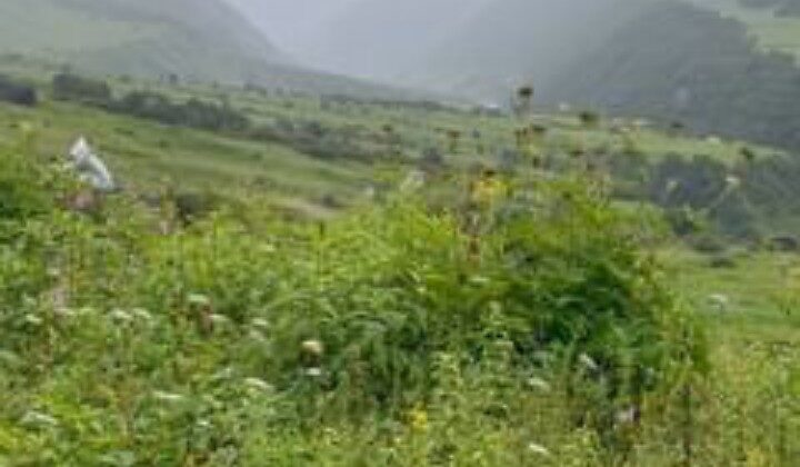 Uttarakhand-पर्यटकों के लिए बंद हुई फूलों की घाटी….. समाप्त हुई इस वर्ष की यात्रा