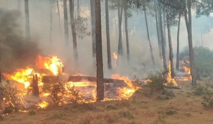 वाहन और कर्मचारियों की पहुंच से दूर वाले स्थानो में इस तरह से बुझाई जाएगी आग….. पढ़ें पूरी खबर