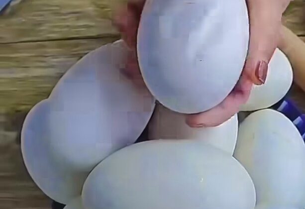 Uttarakhand-ठंड बढ़ने के साथ-साथ बढ़े अंडे के दाम…… जानिए कीमतों में कितनी हुई बढ़ौतरी