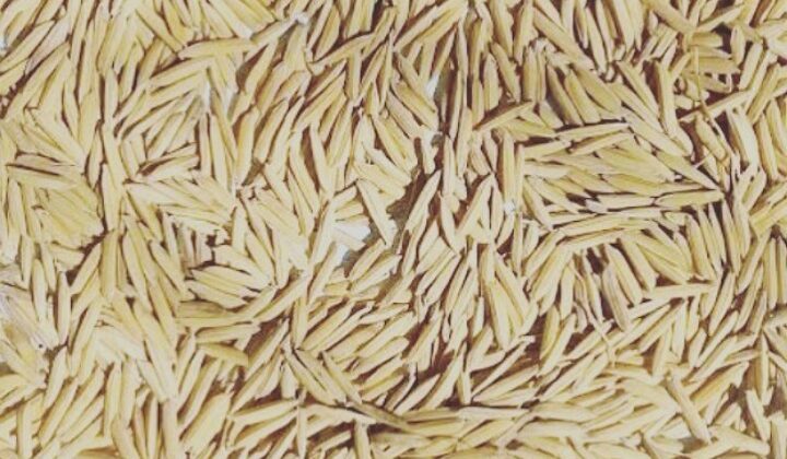 Uttarakhand – विश्व प्रसिद्ध बासमती चावल का घटा रकबा…… जानिए कितनी आई गिरावट