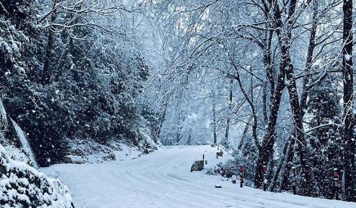 Uttarakhand:- केदारनाथ समेत चारों धामों में बारिश और बर्फबारी को लेकर जारी किया गया अलर्ट