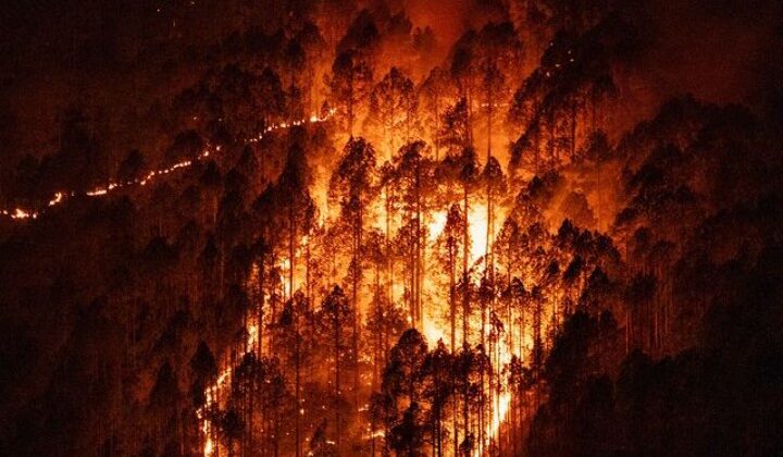 अल्मोड़ा:- जिले के जंगलों में फिर धधकी आग……शिशु निकेतन में 17 बच्चों की फसी जान