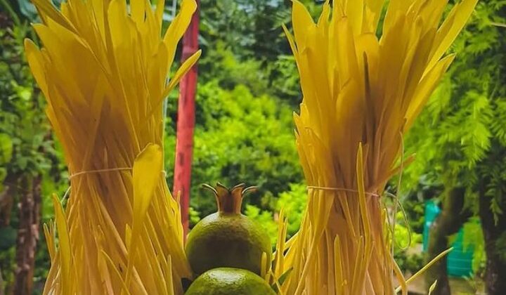 कुर्मांचल अखबार की टीम की तरफ से प्रिय पाठकों को प्रसिद्ध लोक पर्व हरेले की शुभकामनाएं