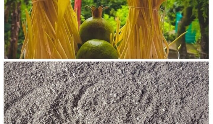 Uttarakhand:- 70 वर्षों में पहली बार गीली मिट्टी में बोया जाएगा हरेला…. जानिए बुजुर्गों के विचार