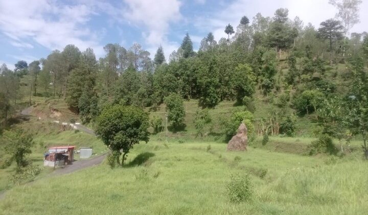 बागेश्वर:- लगातार बारिश के बाद लोगों ने किया धूप का दीदार…… देखिए गरुड़ के सुंदर नजारे