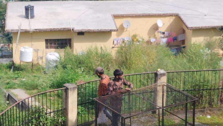 अल्मोड़ा:- बंदरों के आतंक से परेशान है नागरिक….. प्रशासन से की गई यह अपील