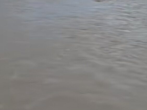 Uttarakhand:- युवती ने अचानक नदी में लगाई छलांग…..मचा हड़कंप