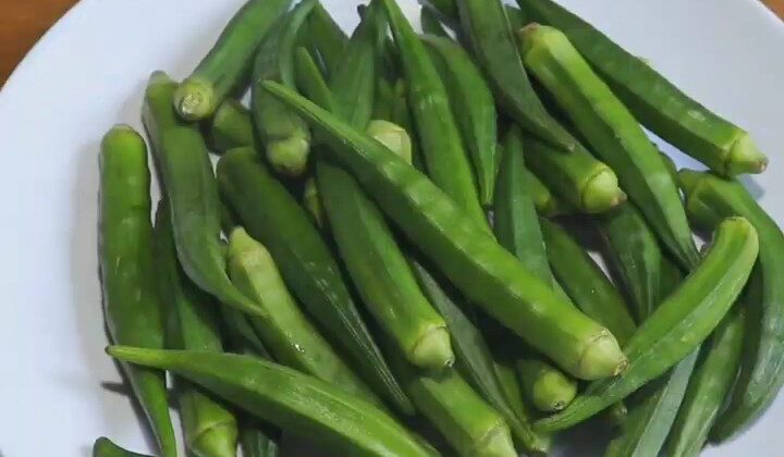 Uttarakhand:-राज्य के 9 जिलों में भेजे जाएंगे पूसा भिंडी- 5 के बीच……आय में होगी बढ़ोतरी