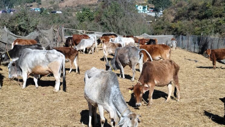 गरुड़ – मूलभूत सुविधाओं को तरसती कत्यूर गौ सेवा समिति चक्रवृत्तेश्वर…..समिति के पास अपना कार्यालय तक नहीं