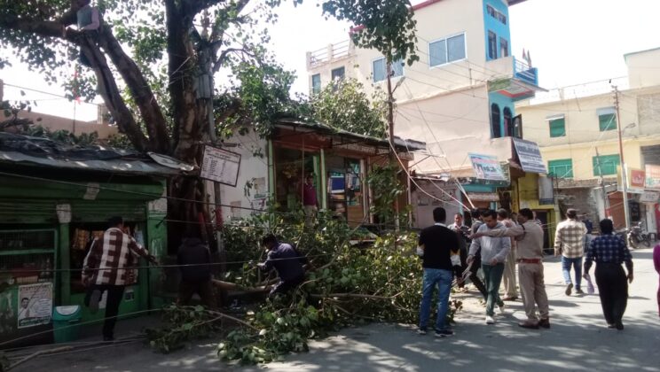 गरुड़ – नगर पंचायत एवं विद्युत विभाग के संयुक्त प्रयासों से की गयी पीपल पेड़ की लॉपिंग